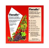 Salus Floradix Υγρό Πολυβιταμινούχο Συμπλήρωμα με Σίδηρο 200ml + 10 x 20ml Μονοδόσεις