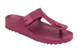 SCHOLL Bahia Flip-Flop Wine Γυναικείες Σαγιονάρες F274541066