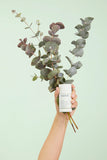 Caudalie Vinofresh Αποσμητικό Stick Φυσικής Σύνθεσης 50g