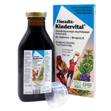 Power Health Floradix Kindervital 250ml