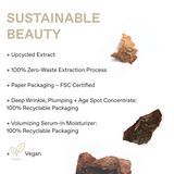 Korres White Pine Anti-Aging Volume Replenishing Set 55+