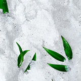 Nuxe Rêve de Thé Revitalising Granular Scrub 150ml - Απολεπιστικό Scrub Σώματος με Πράσινο Τσάι