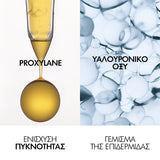 Vichy Neovadiol Compensating Complex Day Cream Κανονική/ Μικτή Επιδερμίδα