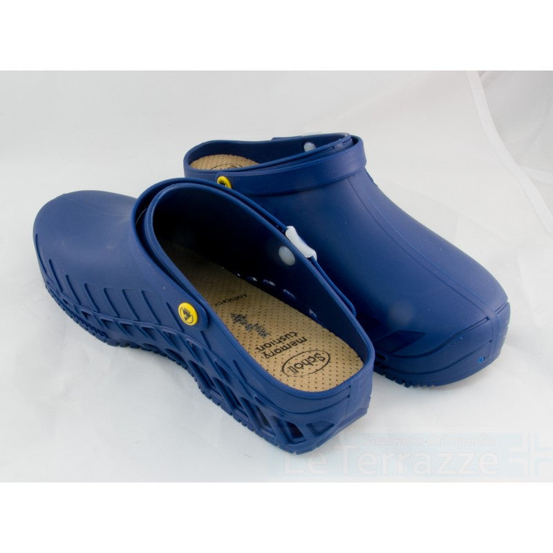 Dr scholl sales clog evo