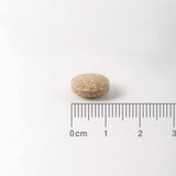 Lamberts Gingo Biloba Extract 6000mg 180 Ταμπλέτες - Μέγεθος ταπμλέτας